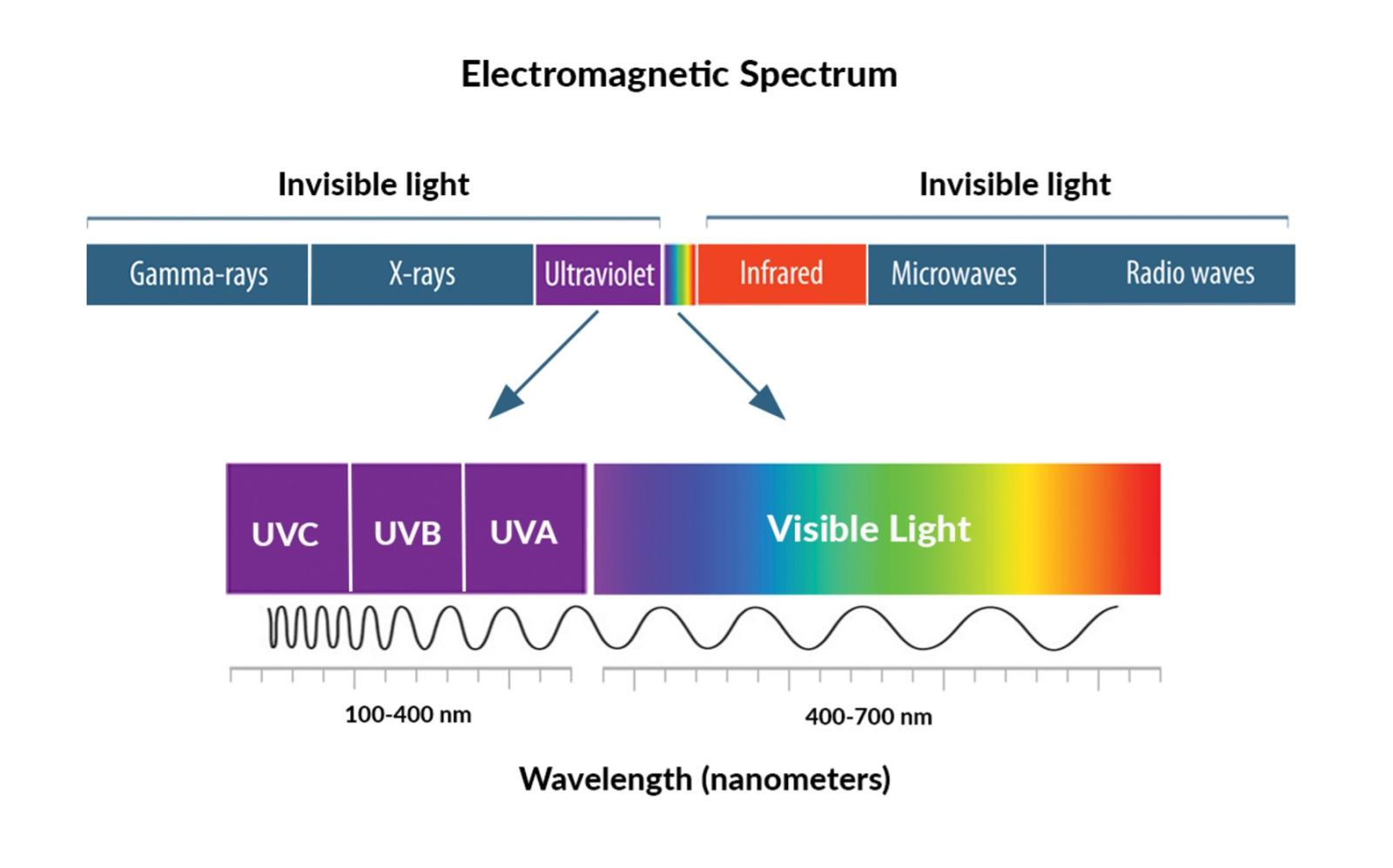 Within the spectrum of visible and invisible light, just a small portion can be seen by human eyes. UV light is not visible.