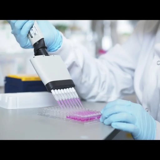 [E15509b] Bovine DHRS3 / Short chain dehydrogenase/reductase 3 ELISA Kit